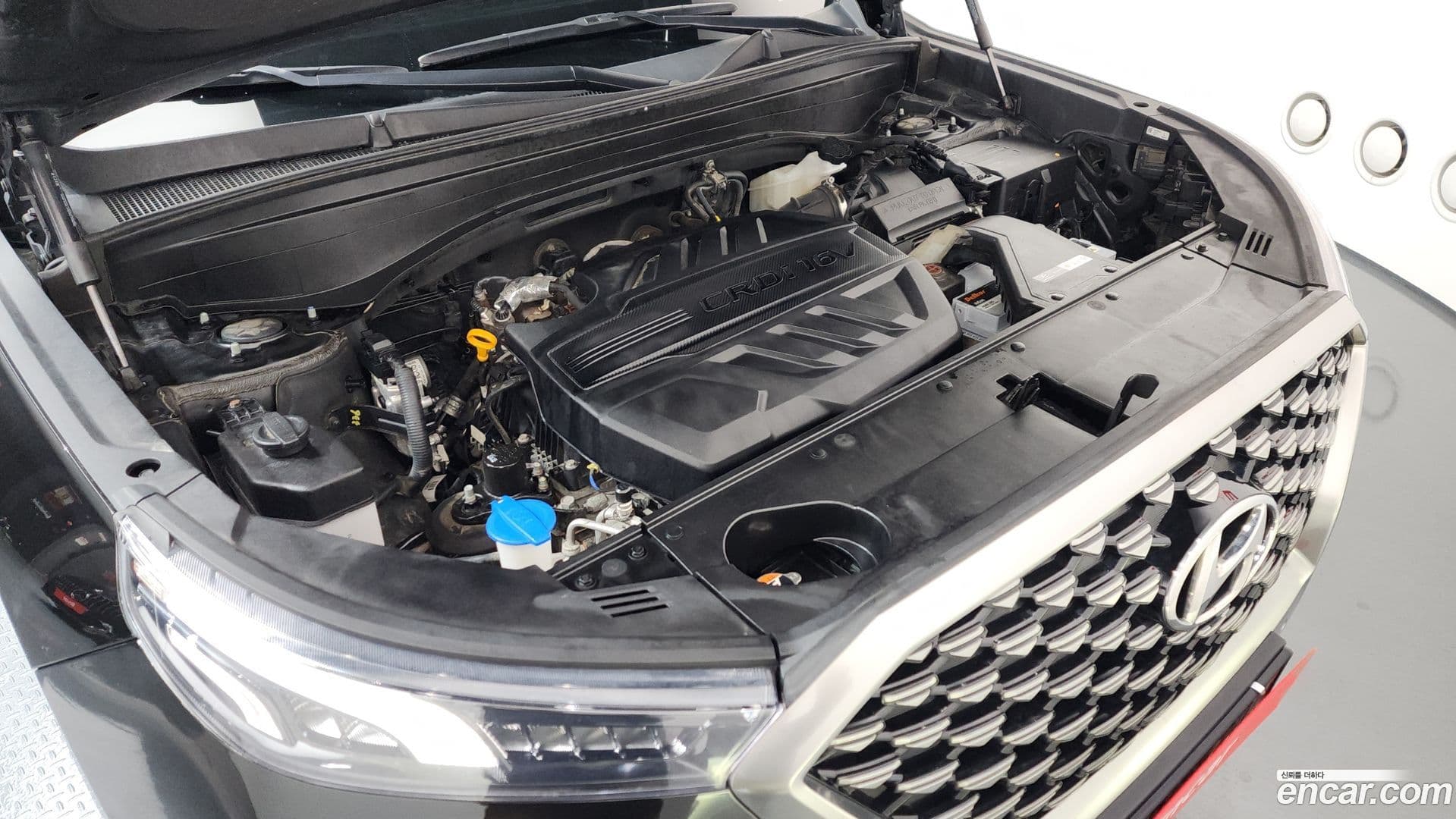 Main__Slider__Photo:Palisade Hyundai 2021.10-5