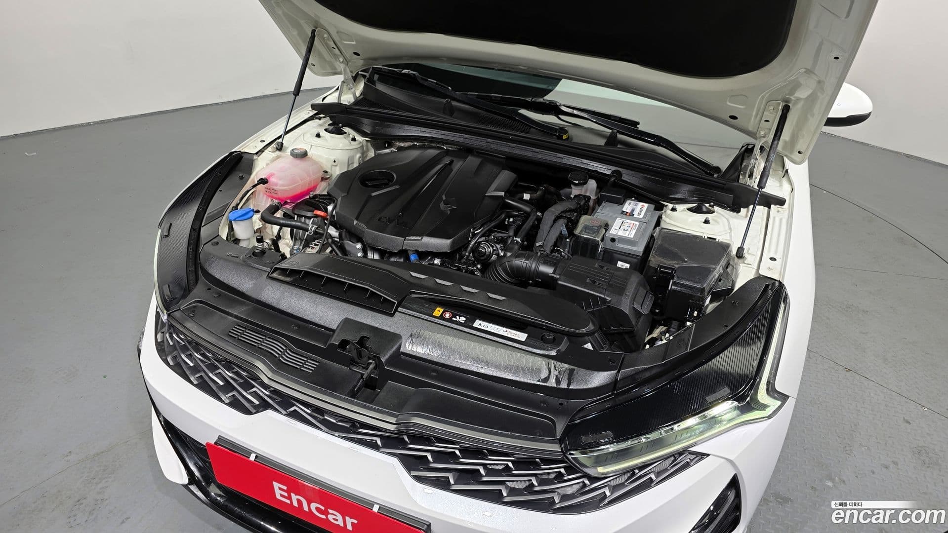 Main__Slider__Photo:K5 Kia 2021.11-5