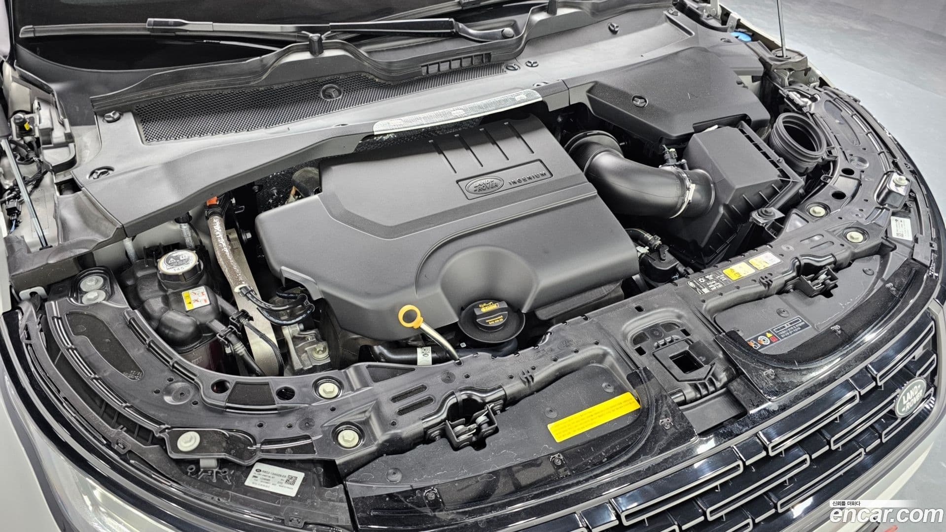 Main__Slider__Photo:Range Rover Evoque Land Rover 2025.7-5