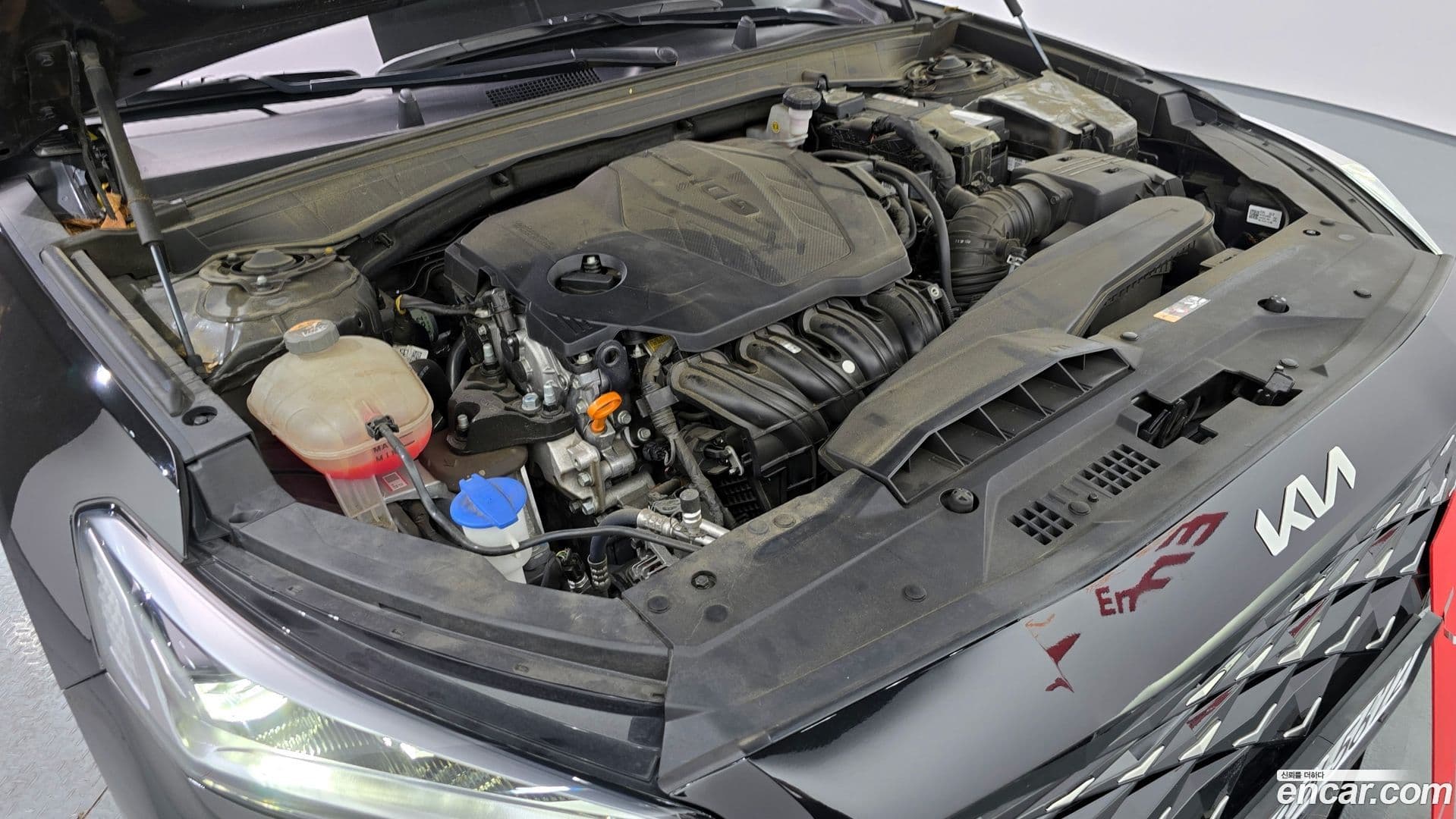 Main__Slider__Photo:K8 Kia 2021.5-5