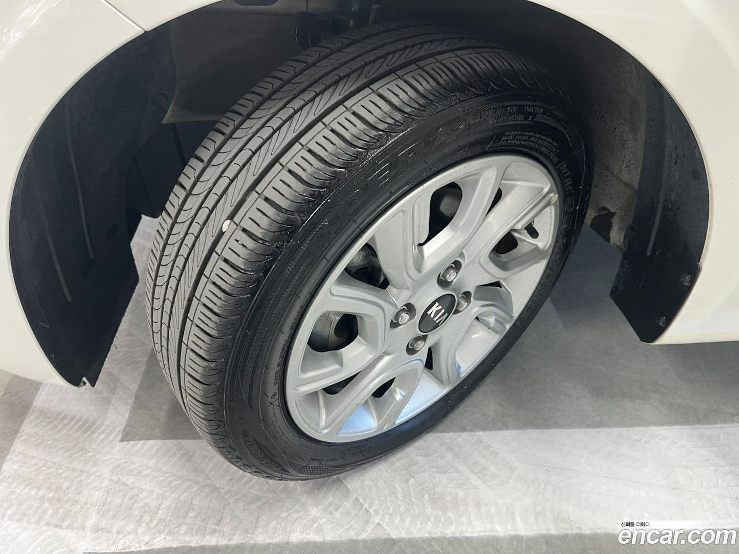 Main__Slider__Photo:morning Kia 2019.1-15