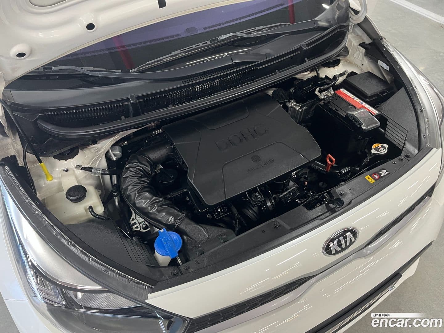 Main__Slider__Photo:morning Kia 2019.1-16