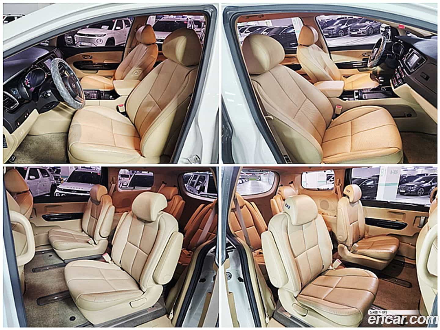 Canival Kia 2017.1-OPTION-017