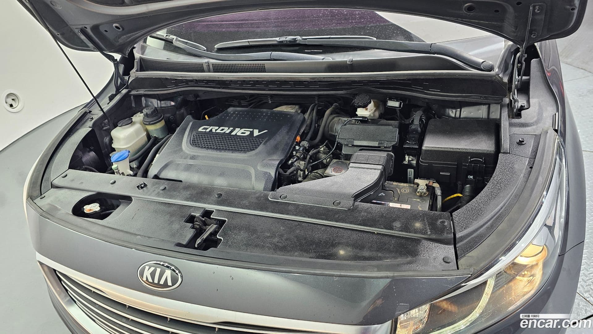 Main__Slider__Photo:Canival Kia 2016.11-5