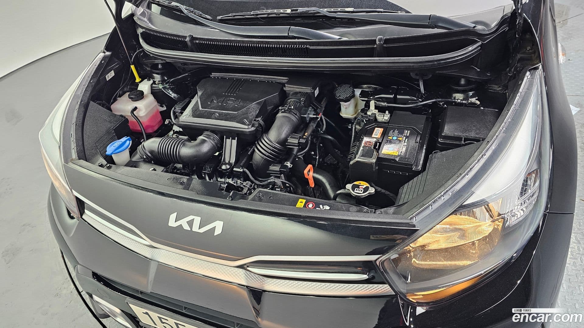 Main__Slider__Photo:morning Kia 2022.10-5