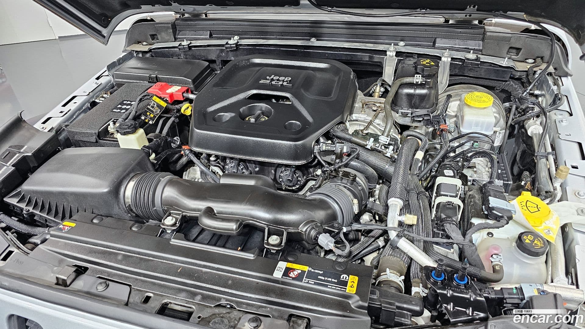 Main__Slider__Photo:Wrangler Jeep 2022.9-5