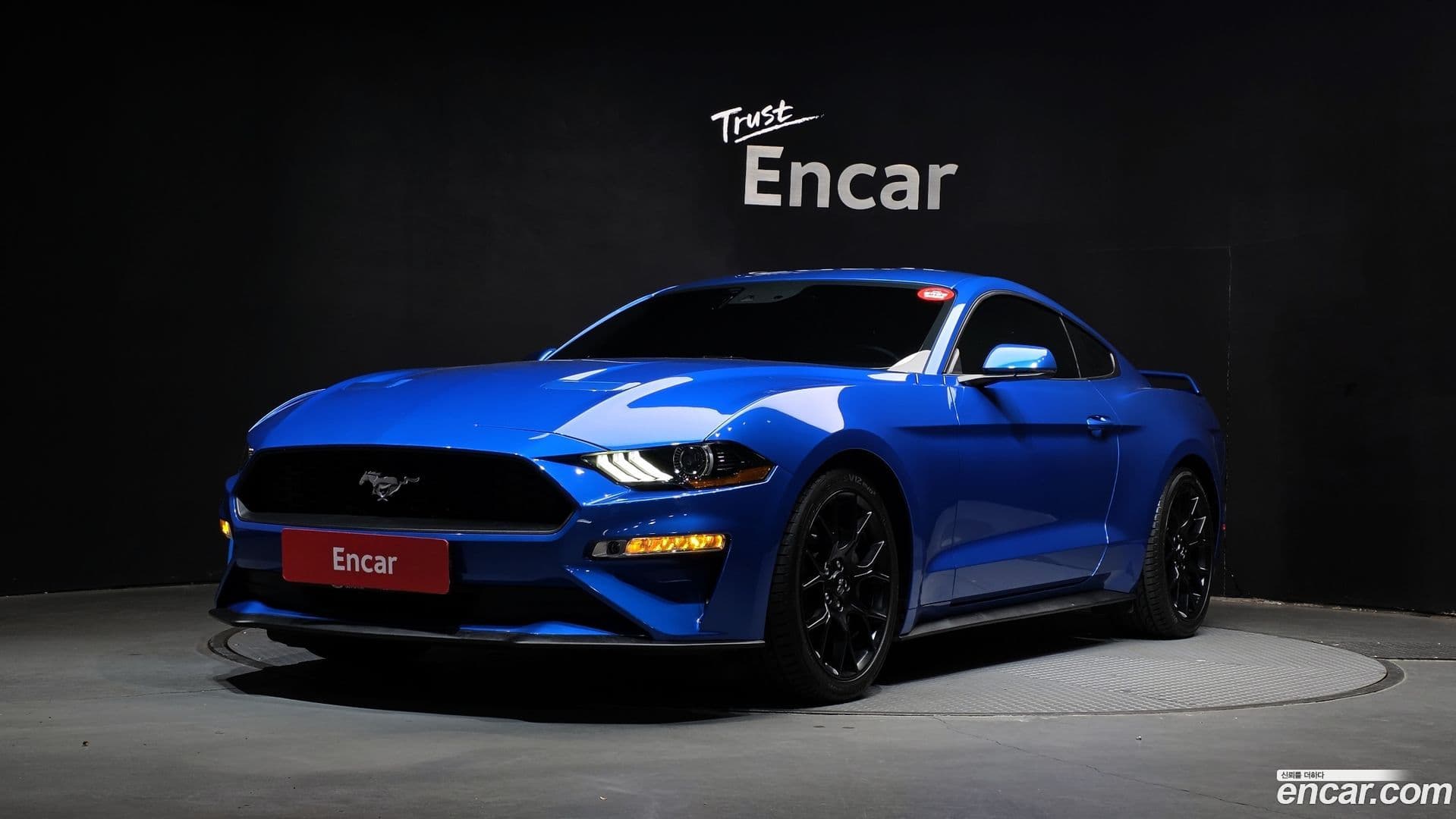 Main__Slider__Photo:Mustang Ford 2019.9-0