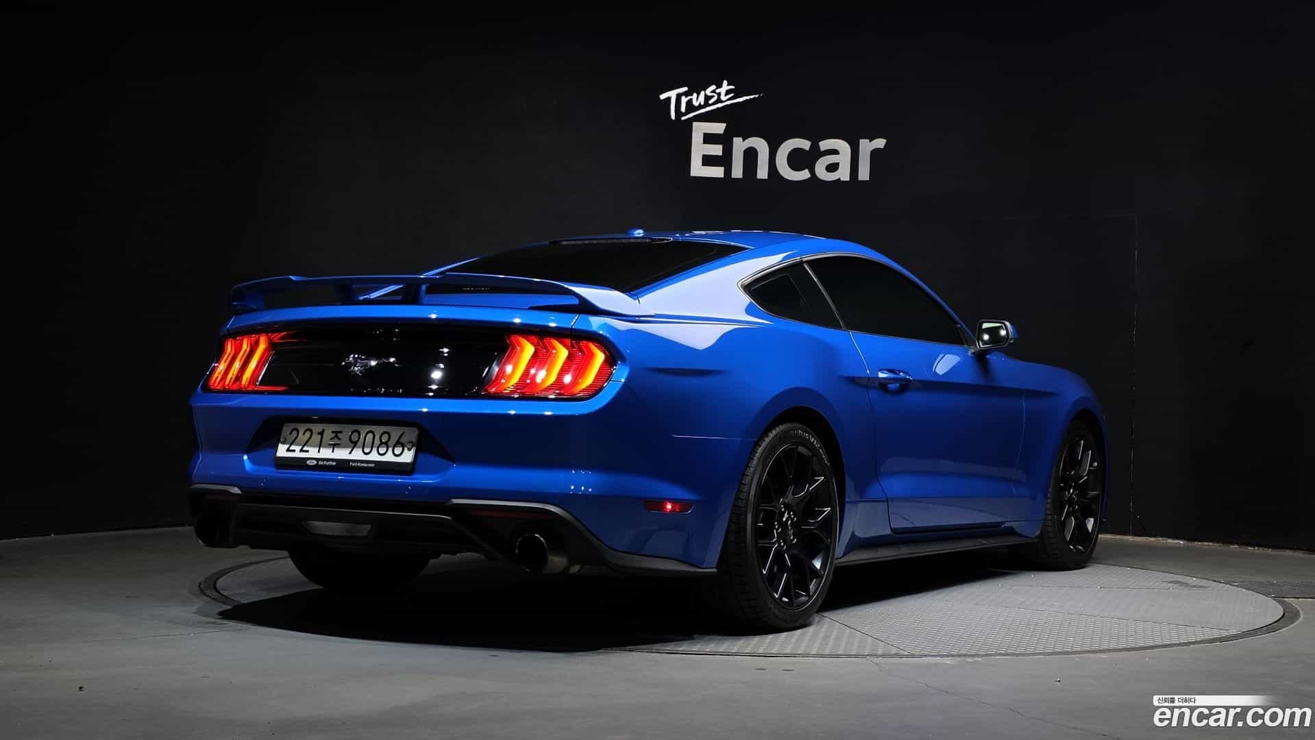 Mustang Ford 2019.9-OUTER-002