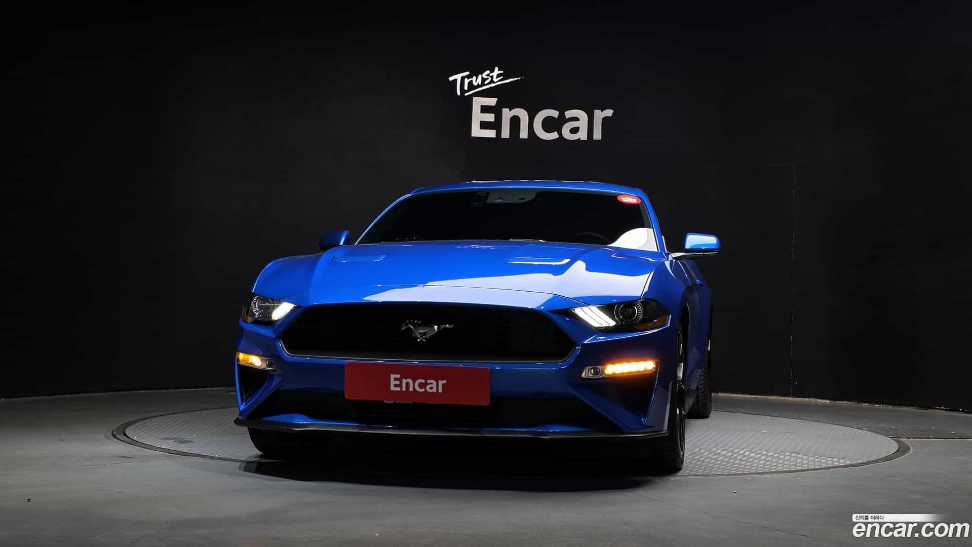 Mustang Ford 2019.9-OUTER-003