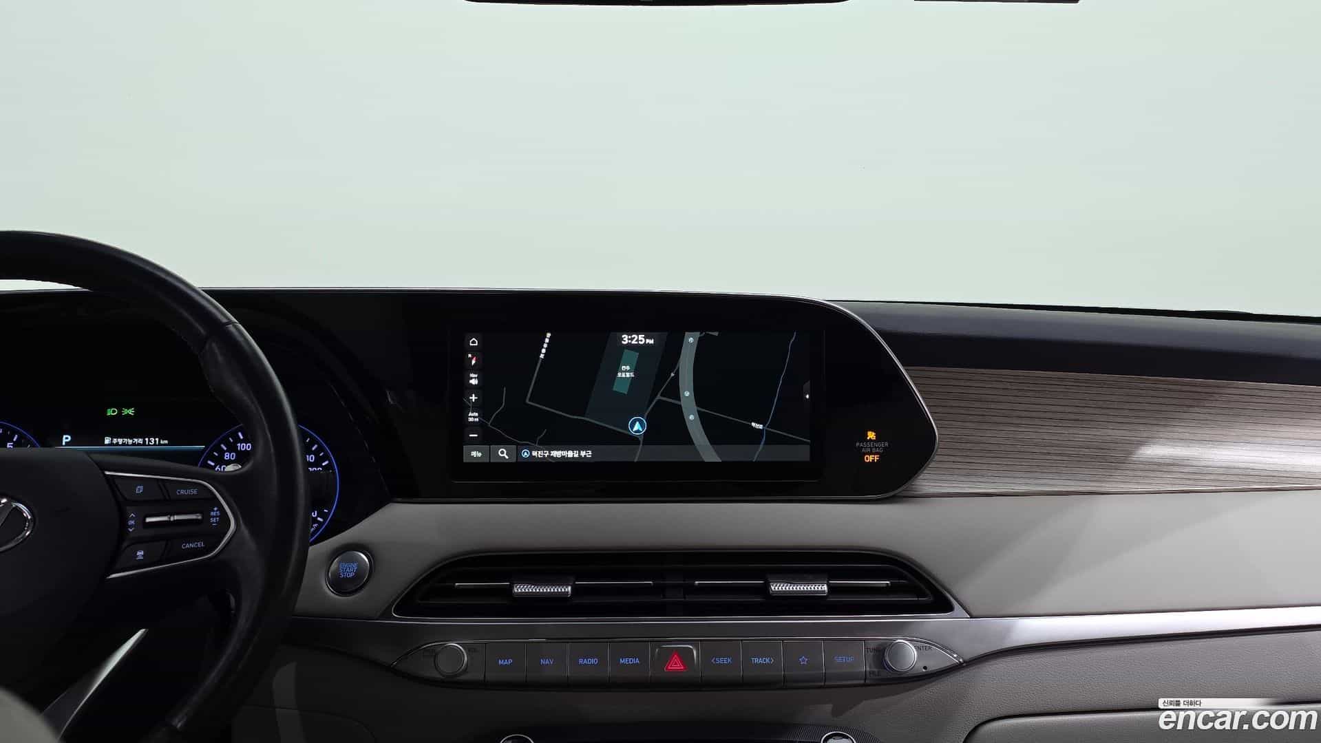 Palisade Hyundai 2019.1-OPTION-020