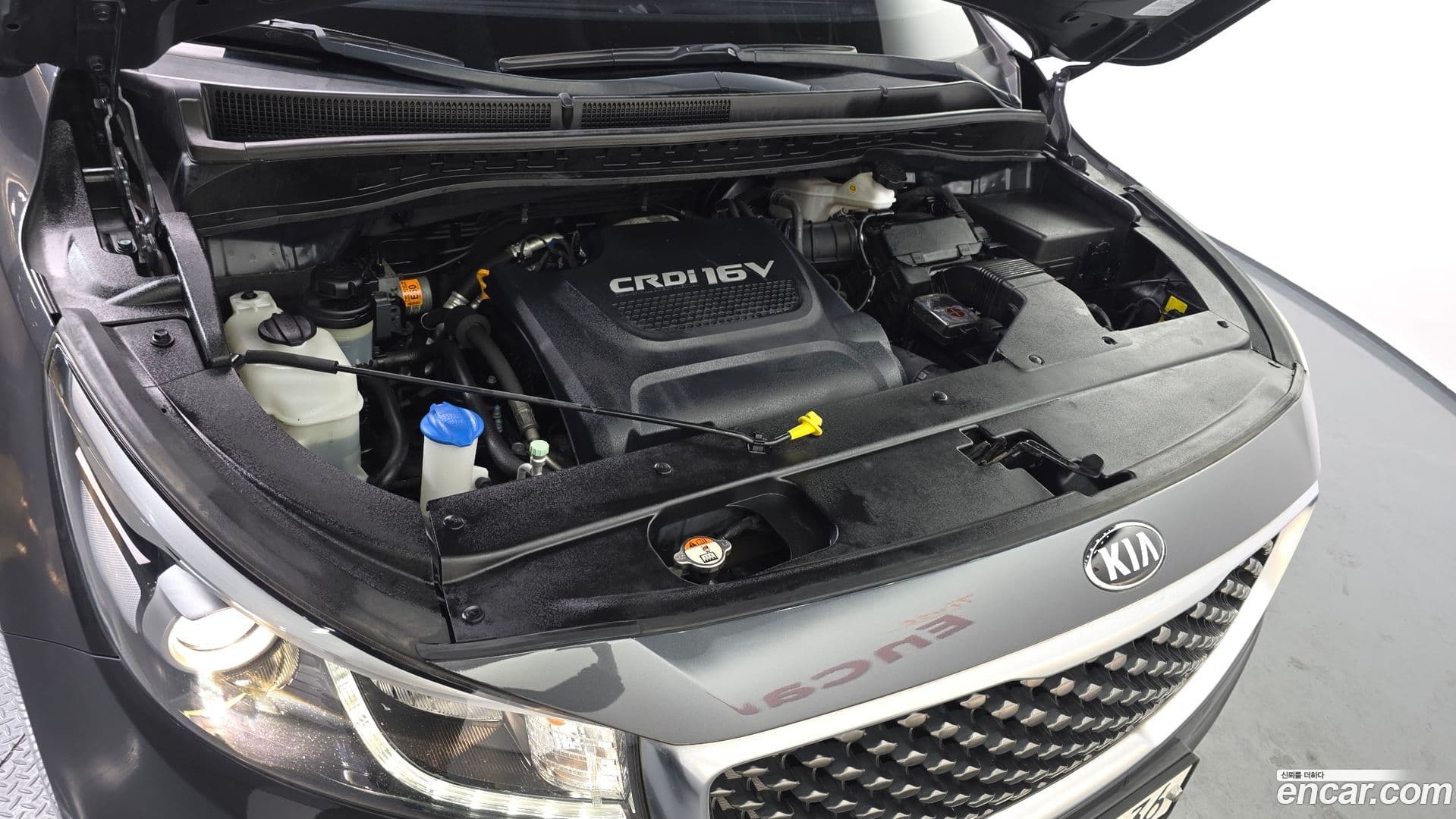 Main__Slider__Photo:Canival Kia 2017.6-5