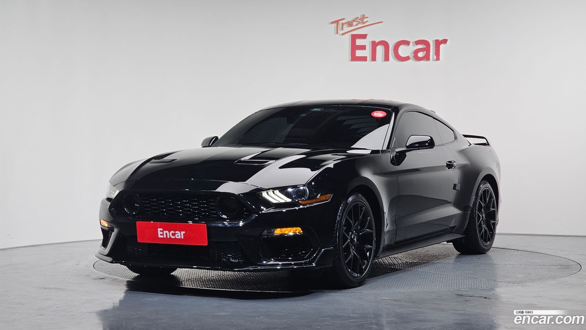 Main__Slider__Photo:Mustang Ford 2021.11-0