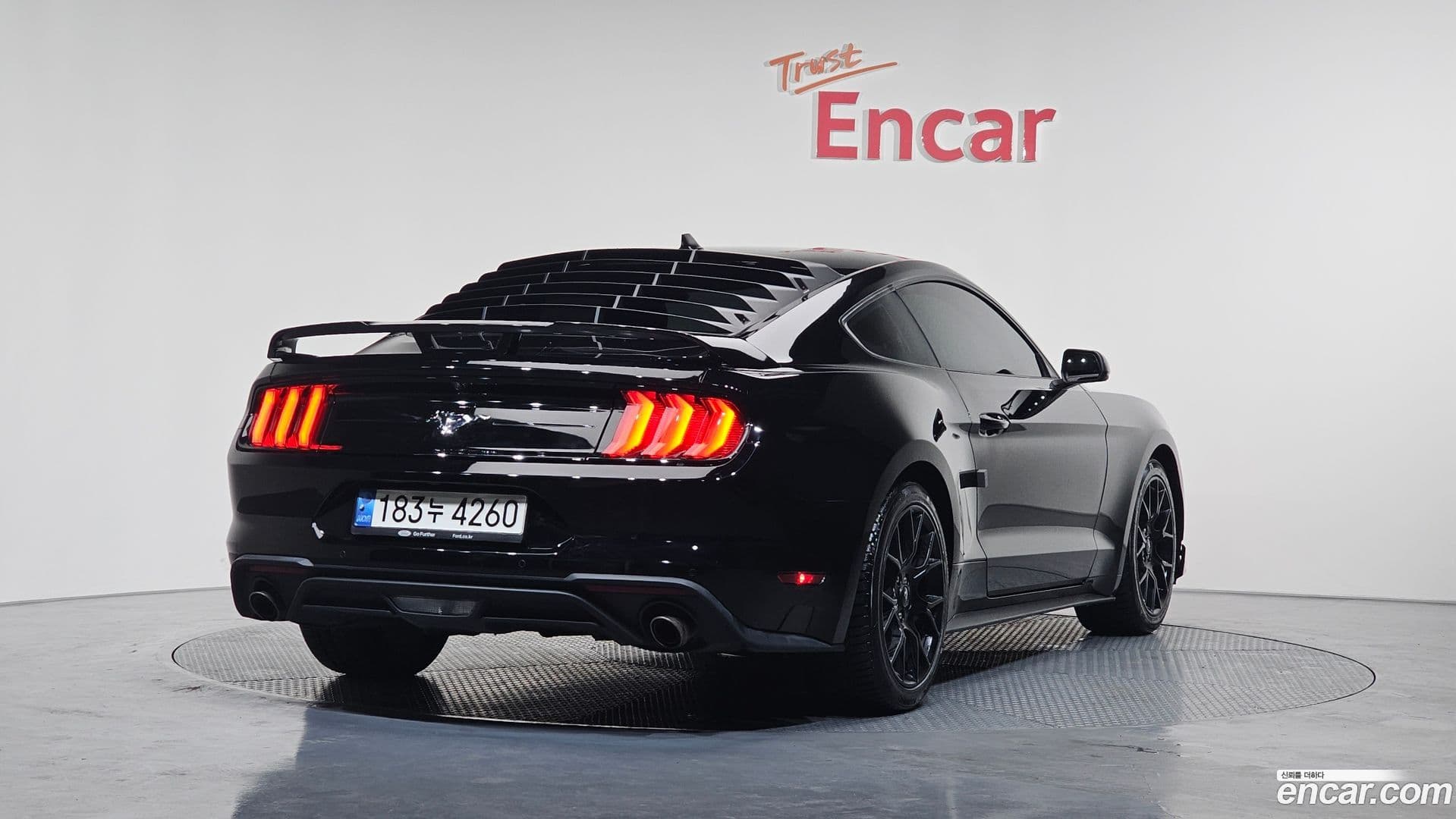 Main__Slider__Photo:Mustang Ford 2021.11-1