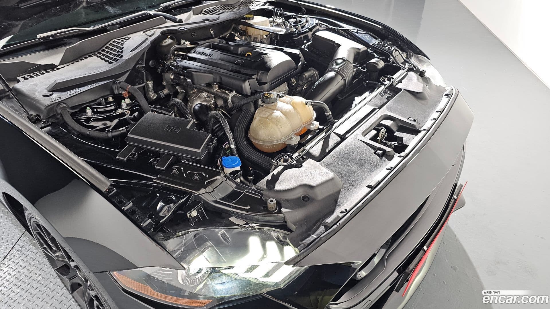 Main__Slider__Photo:Mustang Ford 2021.11-5