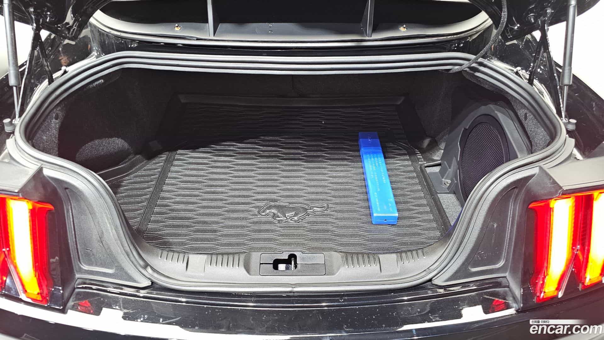 Mustang Ford 2021.11-OPTION-024