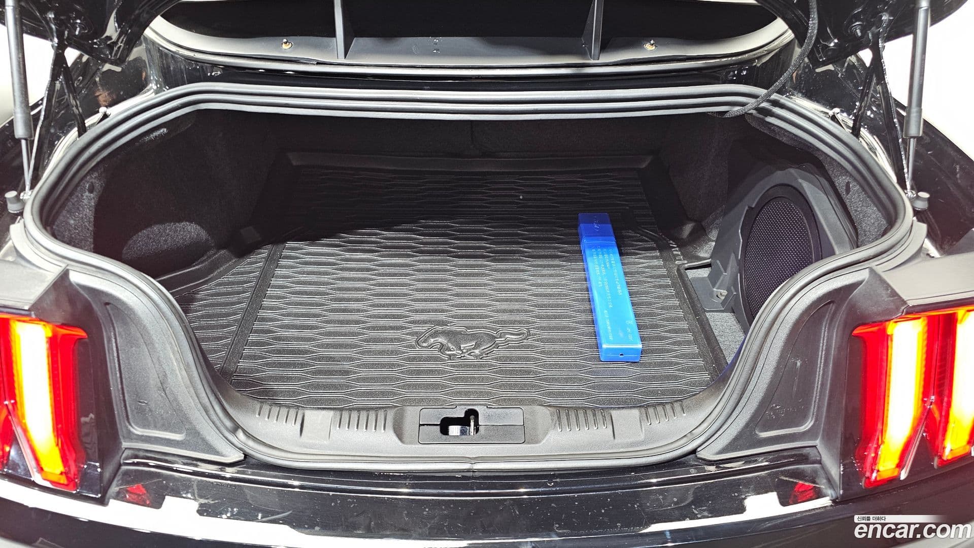 Main__Slider__Photo:Mustang Ford 2021.11-19