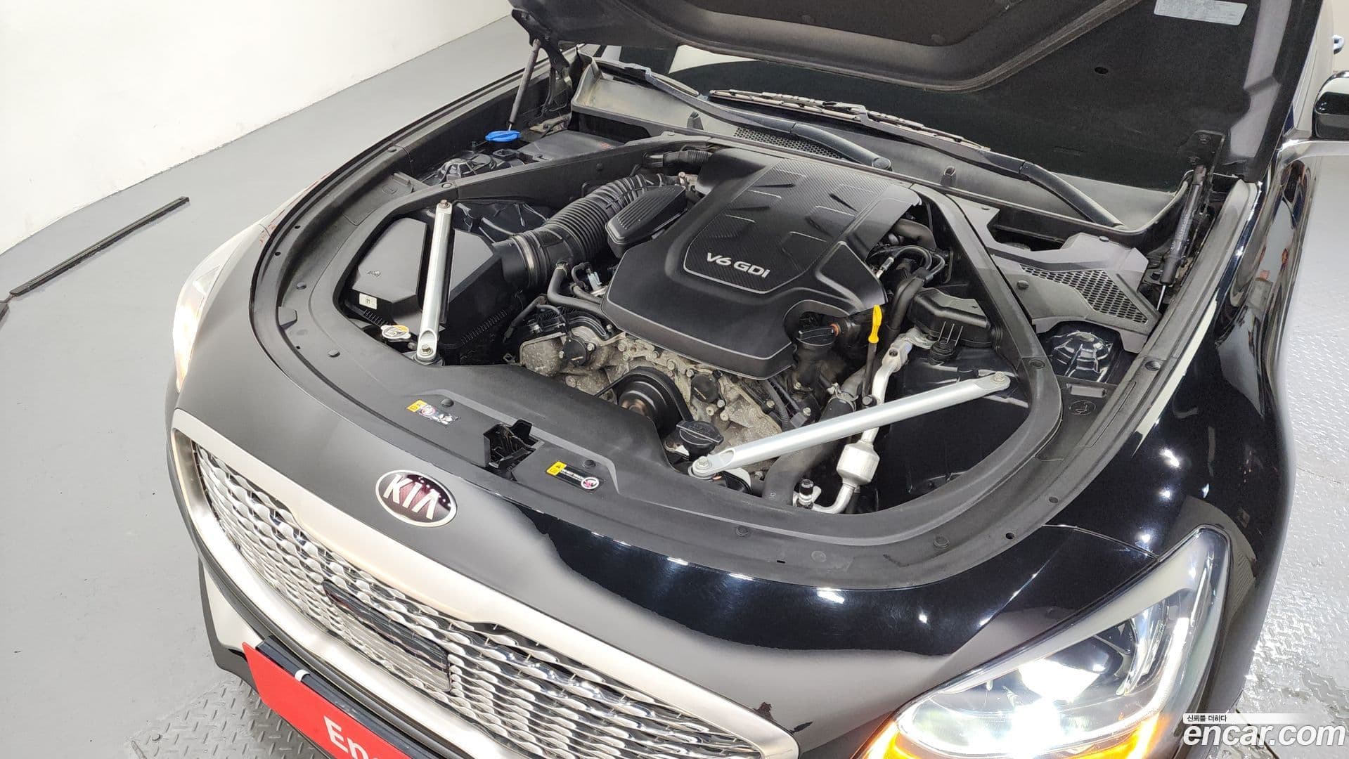 Main__Slider__Photo:K9 Kia 2019.1-5