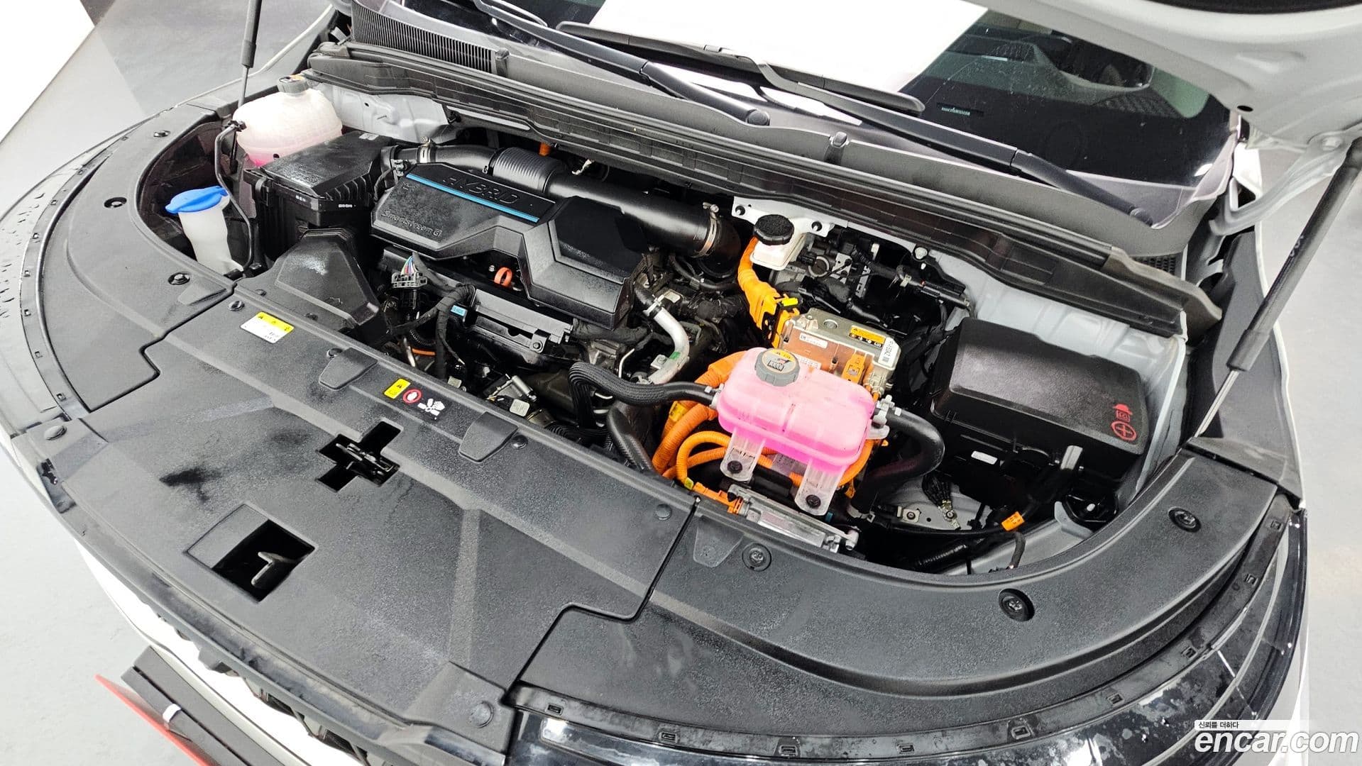 Main__Slider__Photo:Canival Kia 2024.2-5