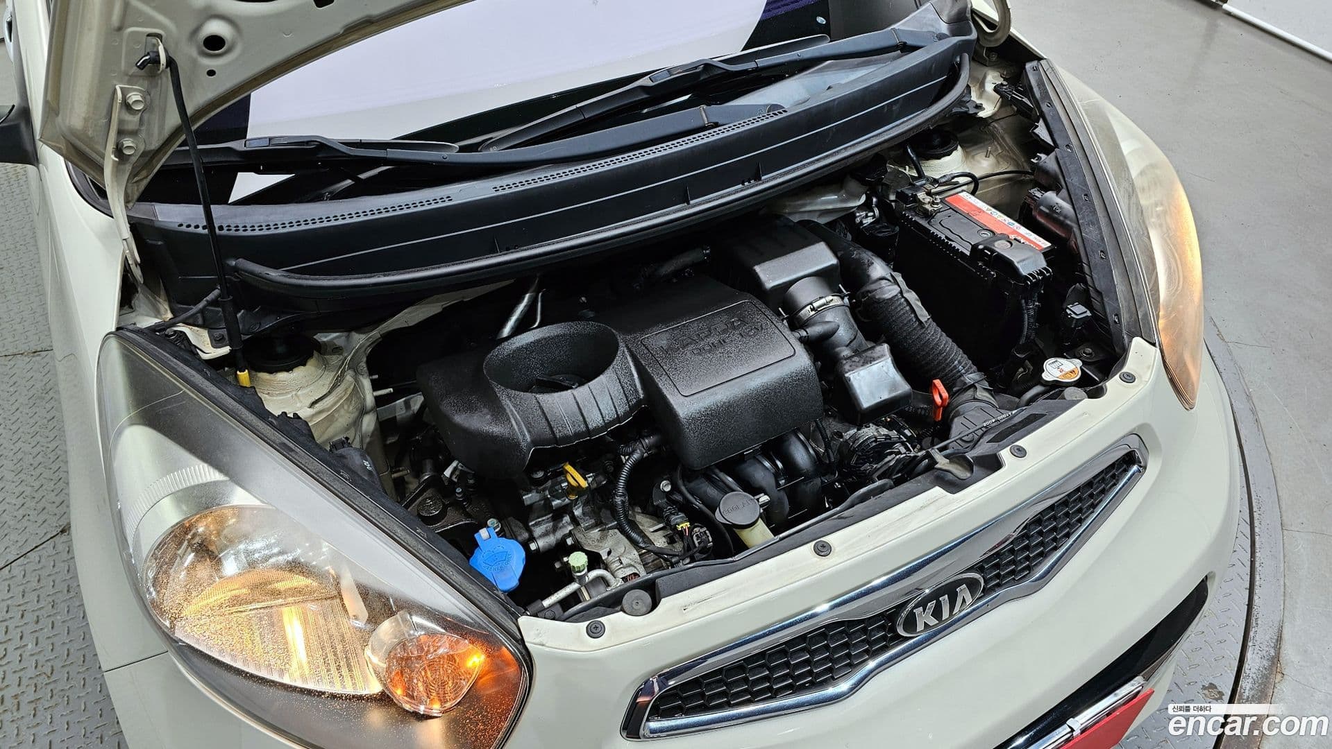 Main__Slider__Photo:morning Kia 2014.5-5