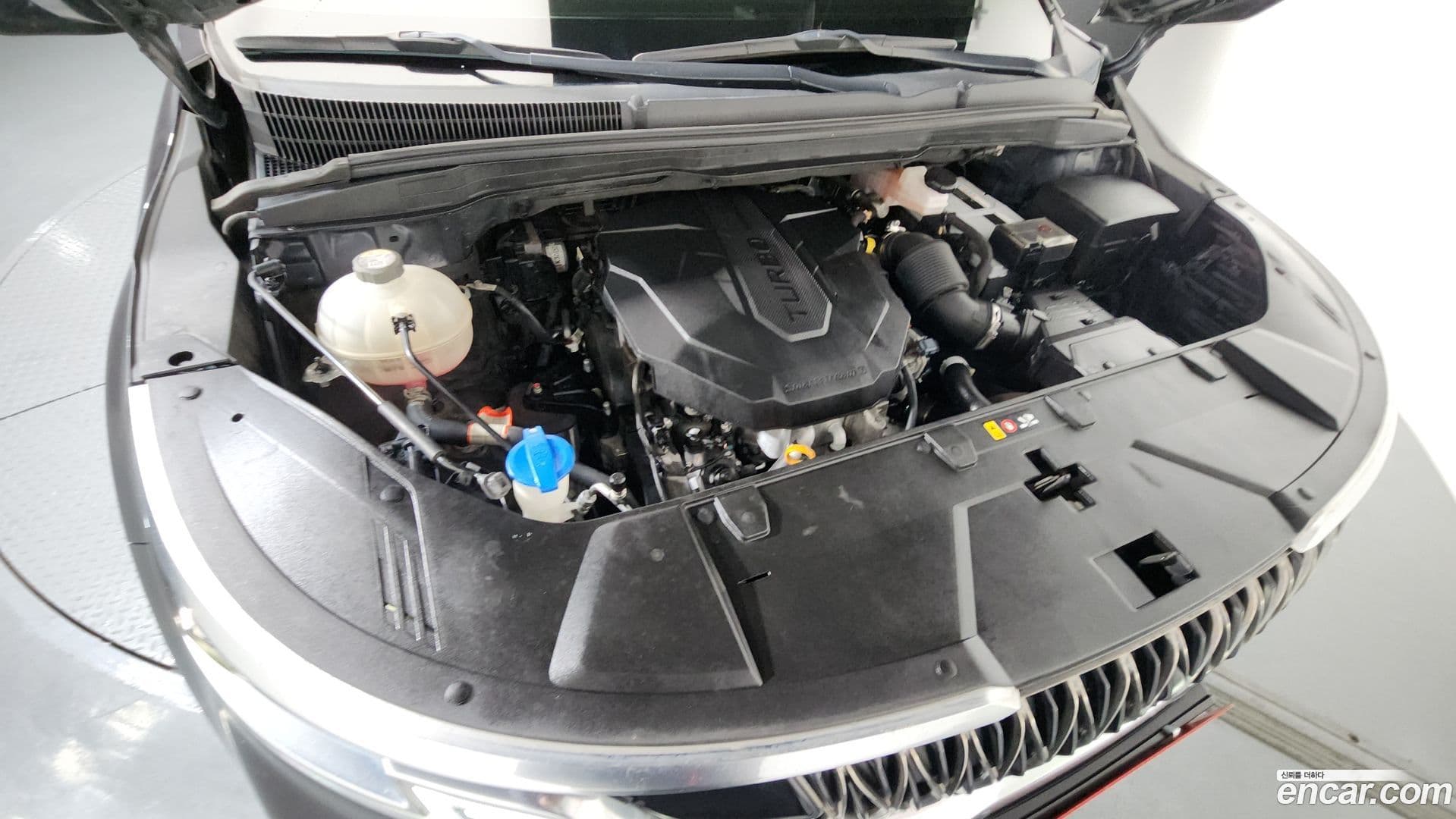 Main__Slider__Photo:Canival Kia 2020.7-5