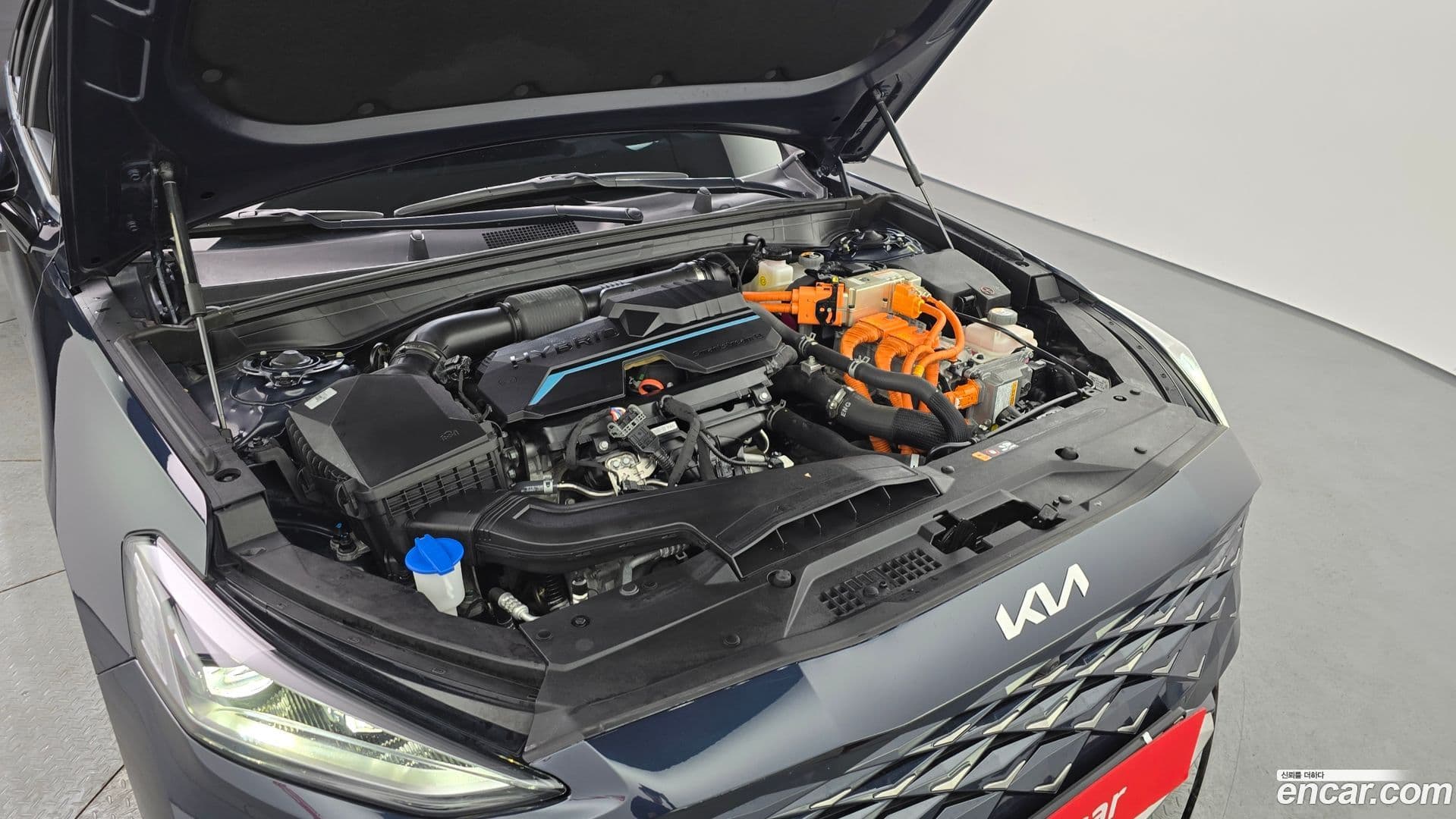 Main__Slider__Photo:K8 Kia 2021.9-5