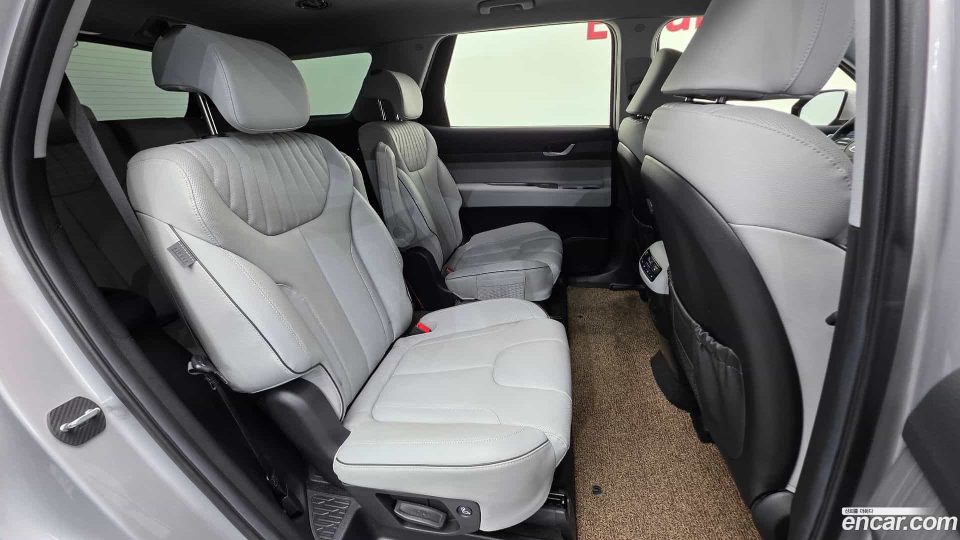 Palisade Hyundai 2023.10-OPTION-023