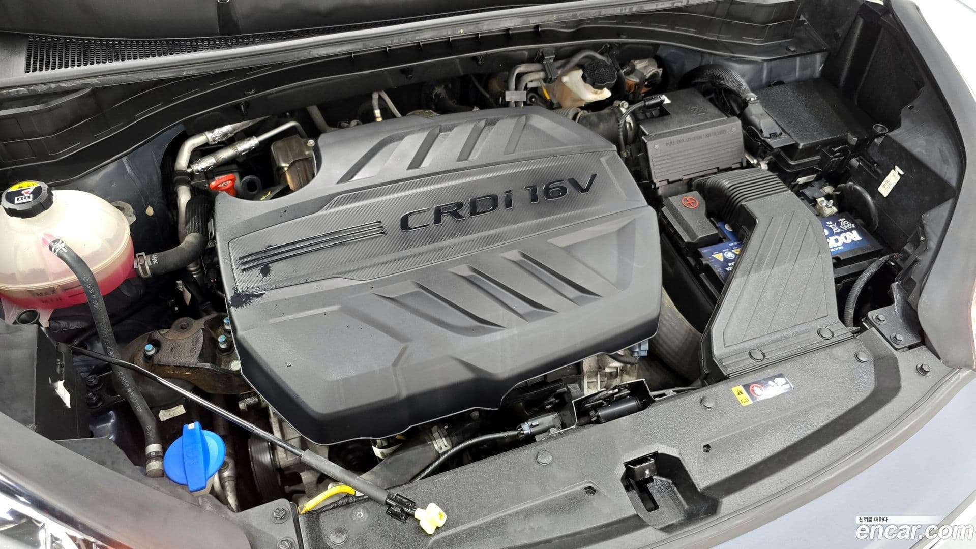 Main__Slider__Photo:Sportage Kia 2021.0-5