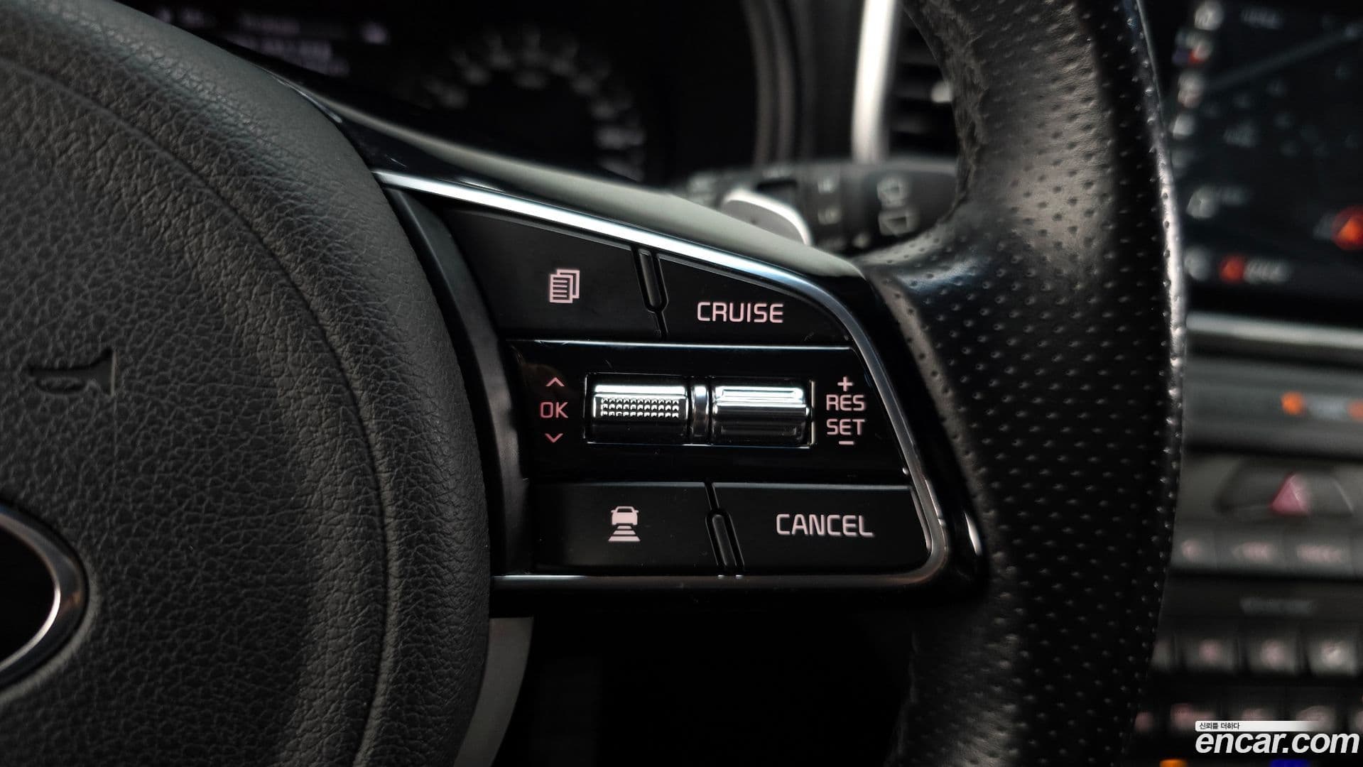 Main__Slider__Photo:Sportage Kia 2021.0-17