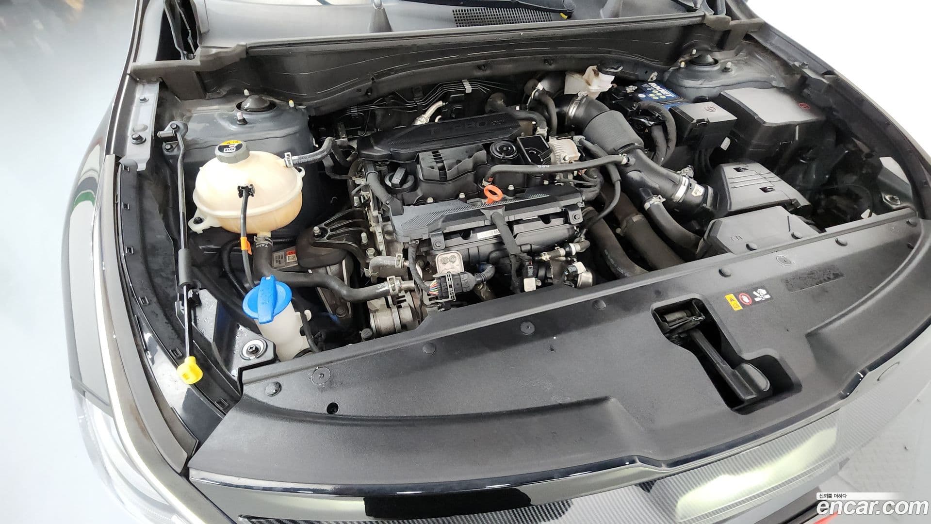 Main__Slider__Photo:Sportage Kia 2022.2-5