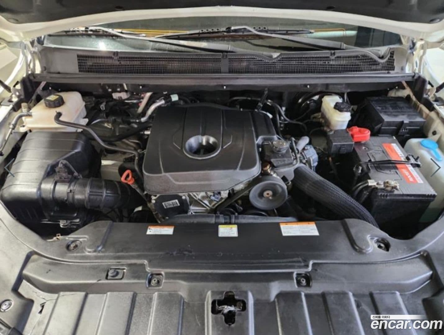 Main__Slider__Photo:KORANDO KG_Mobility_Ssangyong 2019.3-18