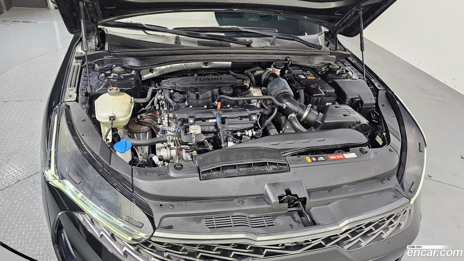 Main__Slider__Photo:K5 Kia 2020.5-5