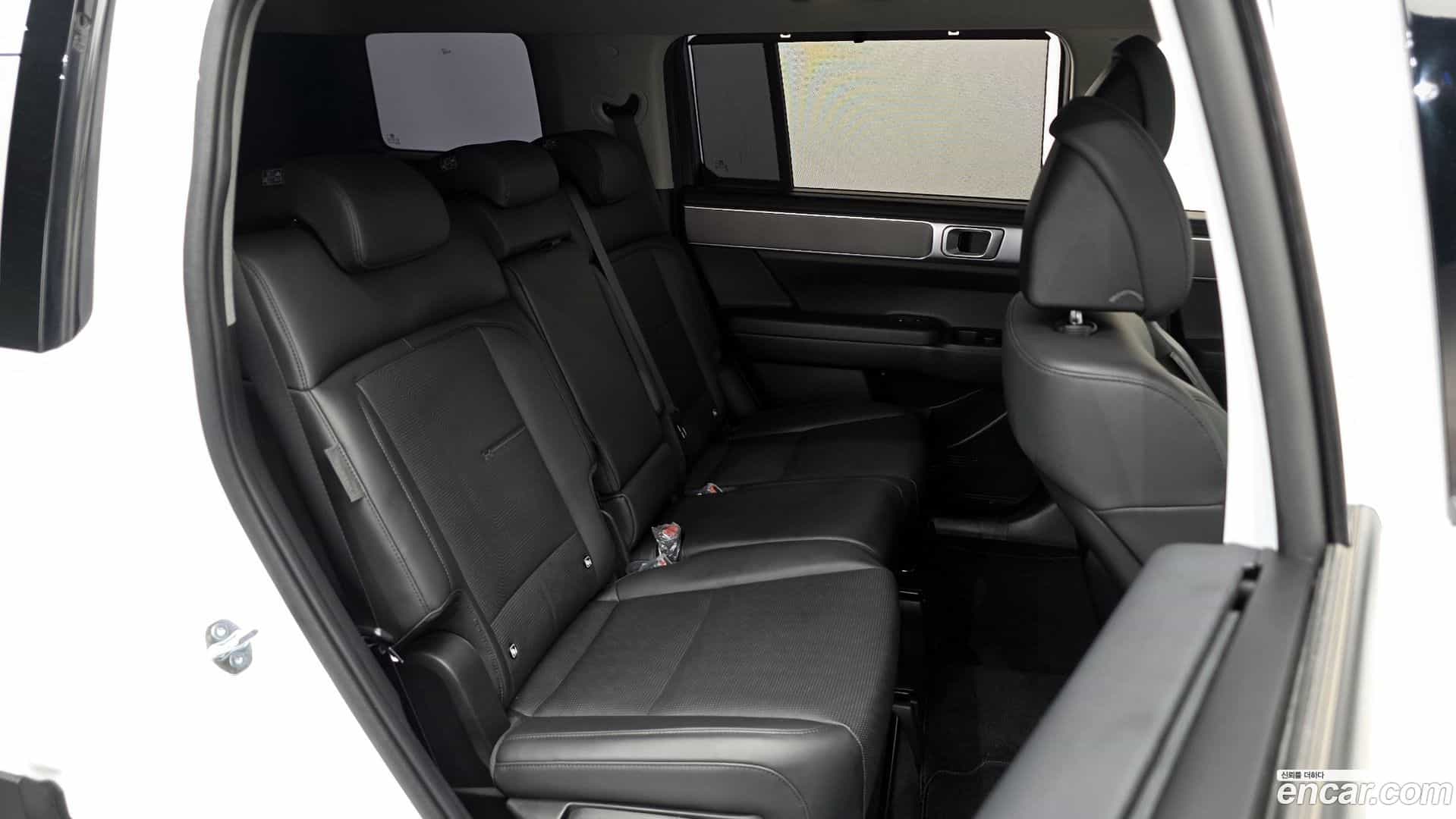 Santafe Hyundai 2024.1-OPTION-016