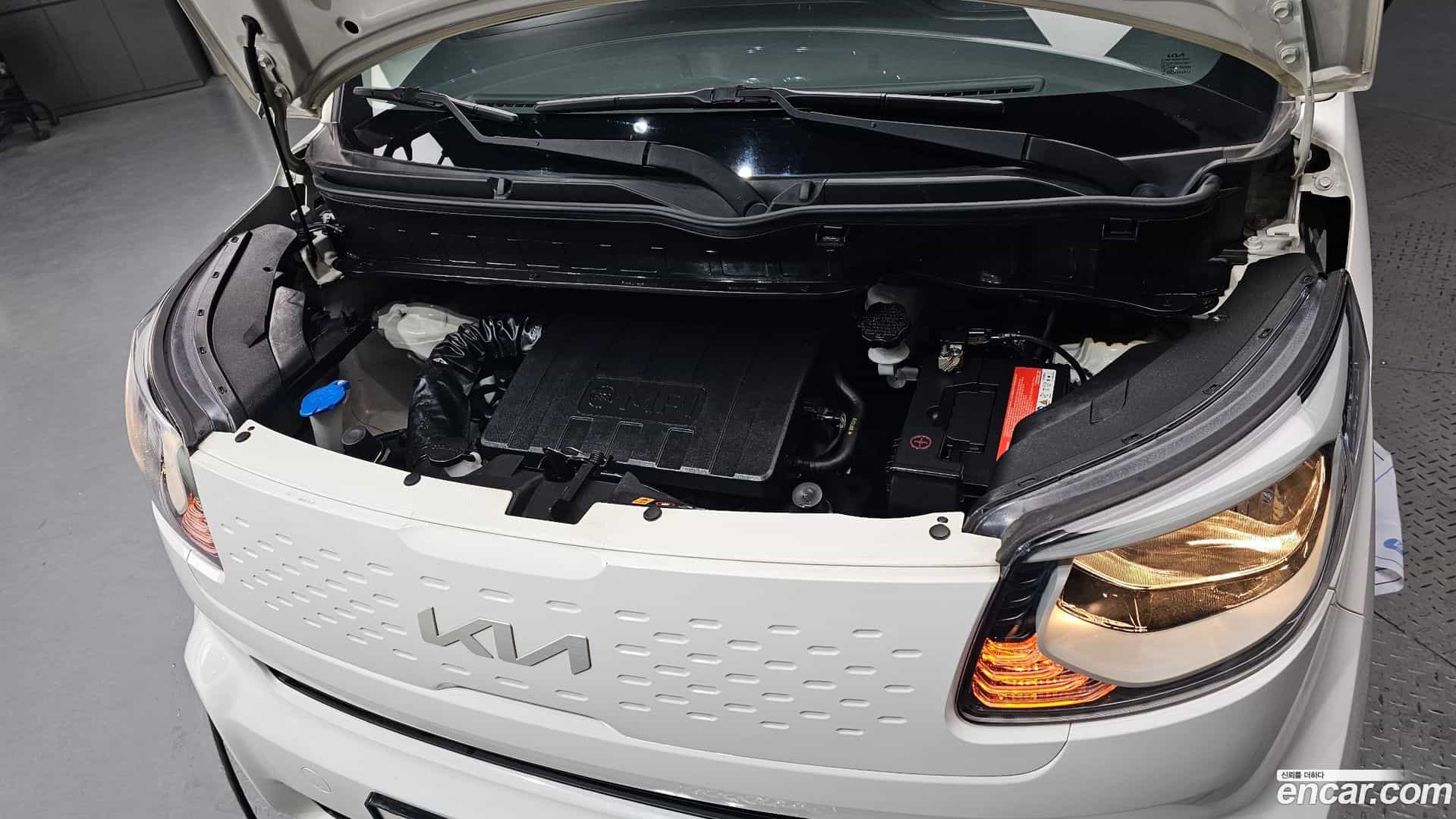 RAY Kia 2021.9-OUTER-006