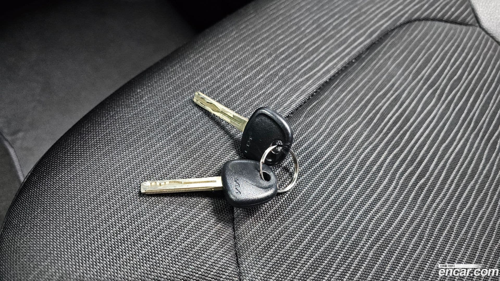 Main__Slider__Photo:RAY Kia 2021.9-18