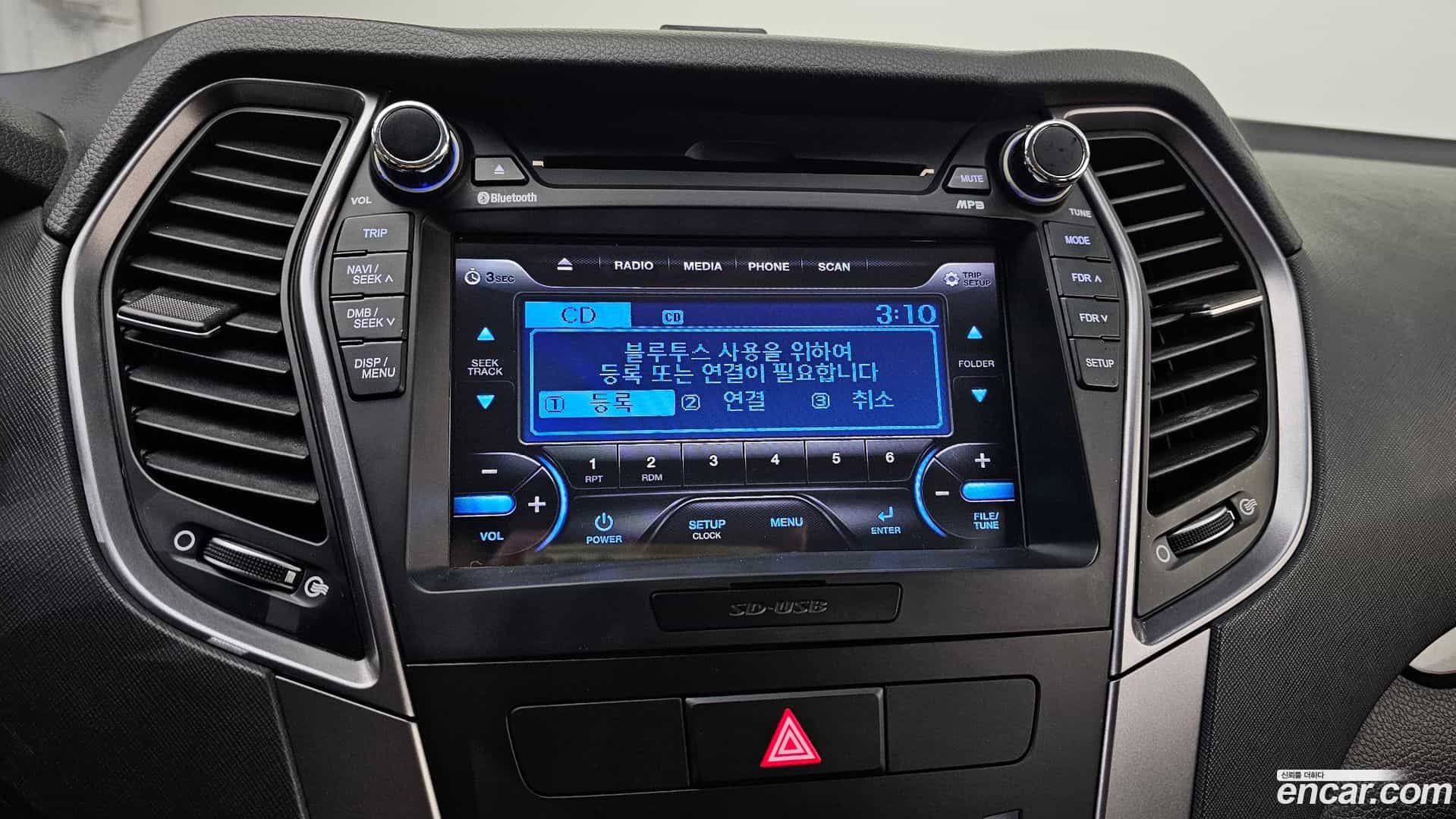 Santafe Hyundai 2013.10-OPTION-020