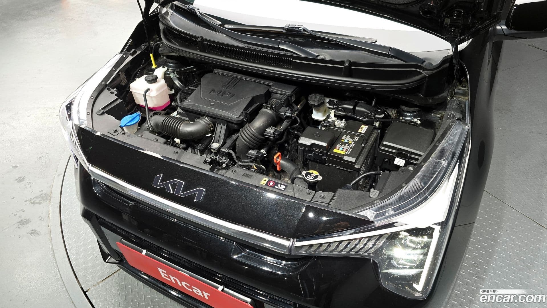 Main__Slider__Photo:morning Kia 2024.9-5