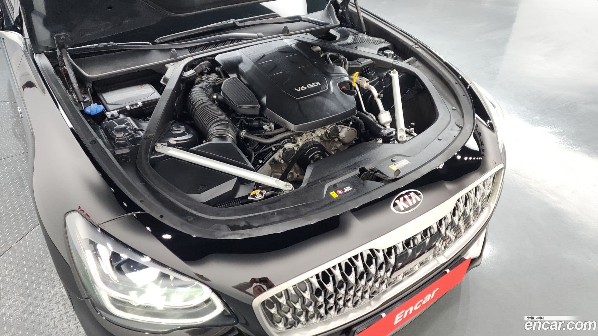 Main__Slider__Photo:K9 Kia 2021.1-5