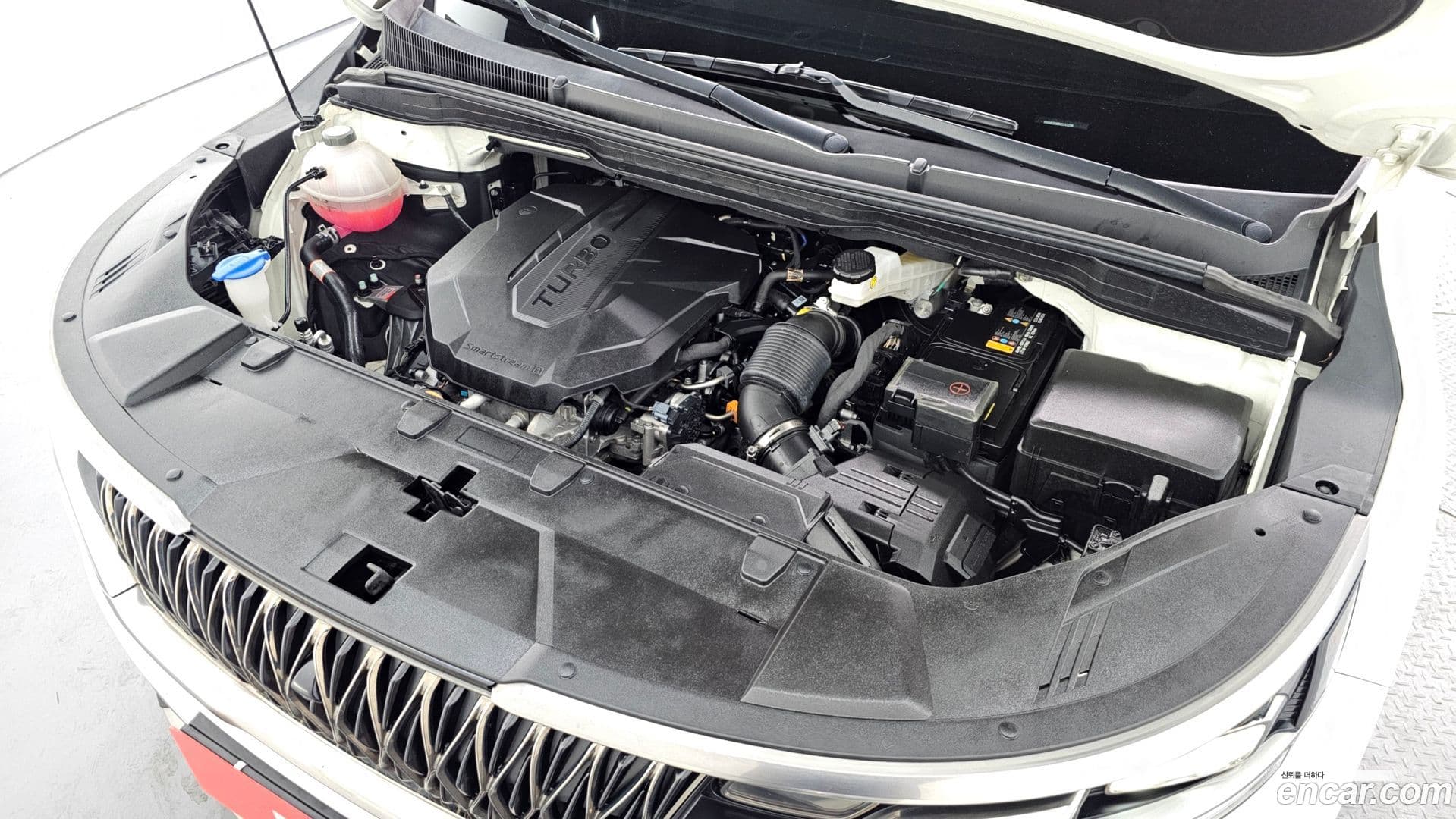 Main__Slider__Photo:Canival Kia 2021.8-5