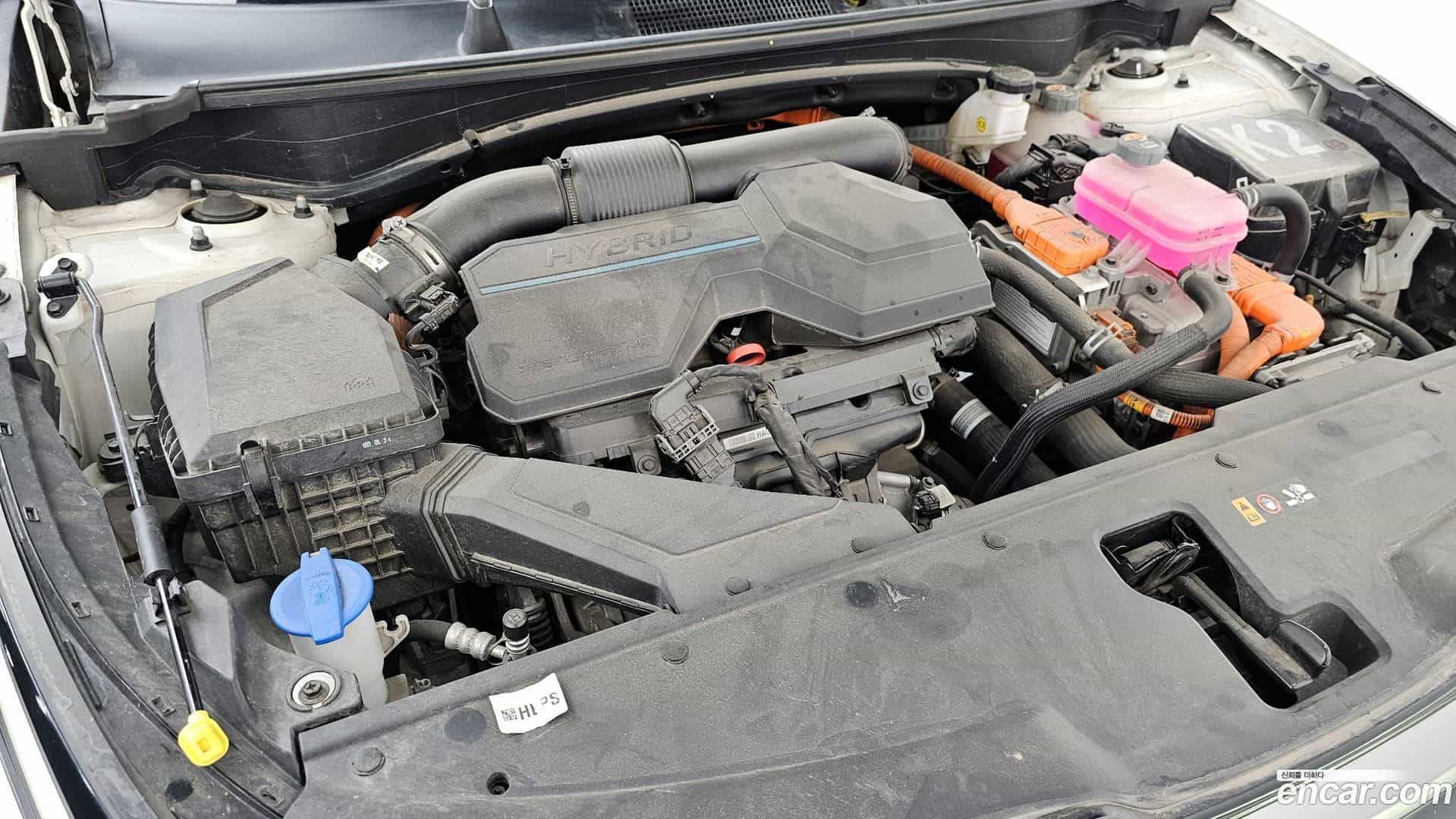 Sportage Kia 2022.5-OPTION-023