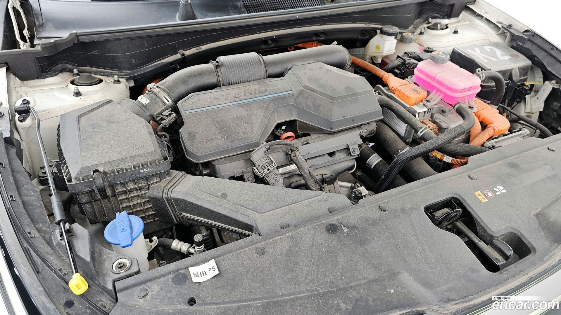 Main__Slider__Photo:Sportage Kia 2022.5-18